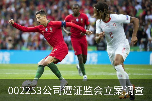 002253公司遭证监会立案调查